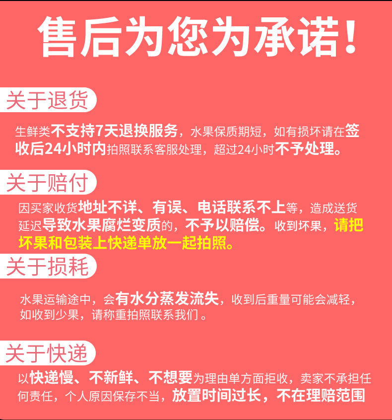 甘肃天水花牛苹果10斤新鲜包邮当季水果刮泥粉面应季红蛇果