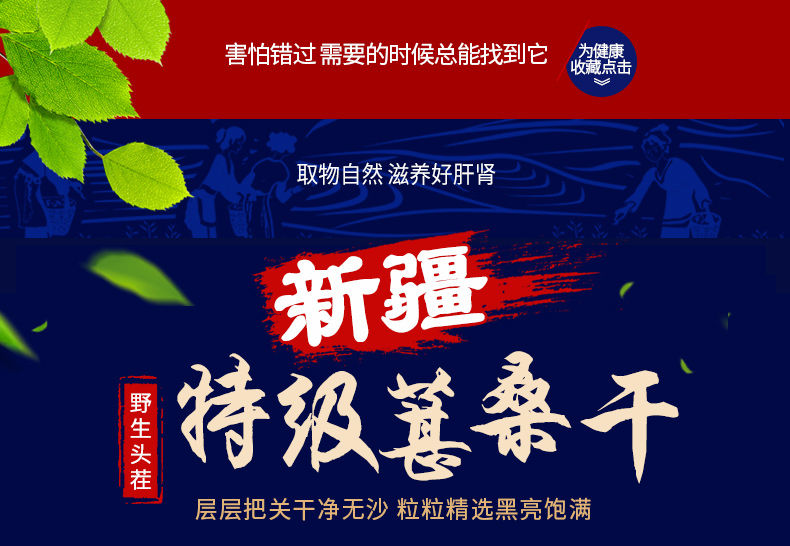 【送红枣干】19年新疆野生黑桑葚干免洗无沙桑椹干食用泡酒茶100g