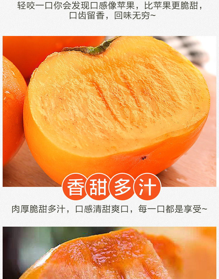 广西脆柿子脆甜柿子硬柿子小柿子甜脆柿子脆柿子非软柿子火晶柿子