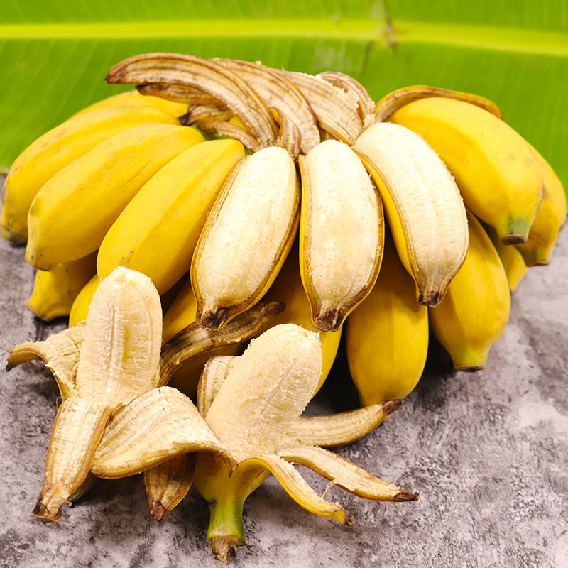【早上砍下午发】香蕉广西小米蕉新鲜香蕉当季水果发青果多规格
