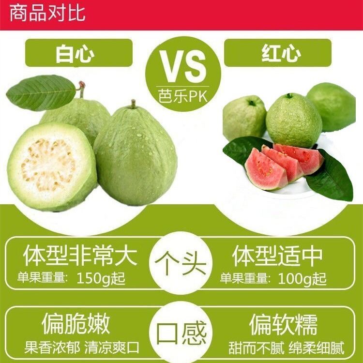 广西番石榴红心/白心芭乐新鲜水果单重100g-400g