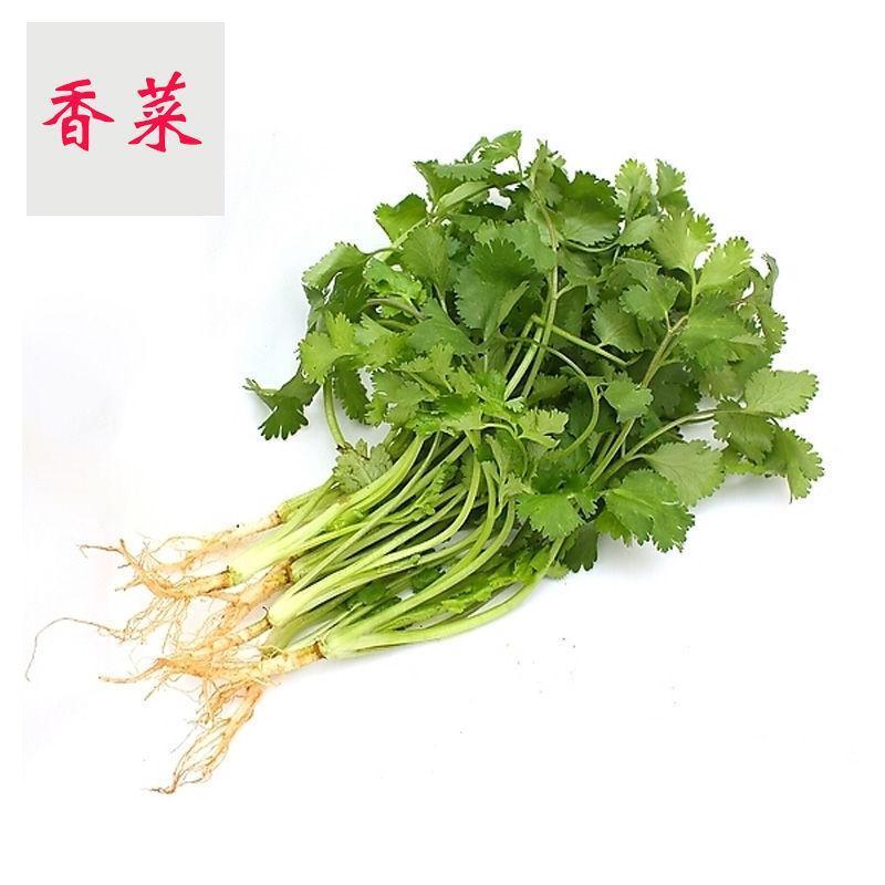  香菜干提味蔬菜调料香菜颗粒干香菜叶碎香菜干250g可选