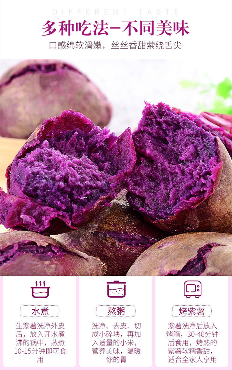 【香甜粉糯】沙地紫薯新鲜 番薯板栗红薯地瓜蜜薯蔬菜(2/5/10斤)