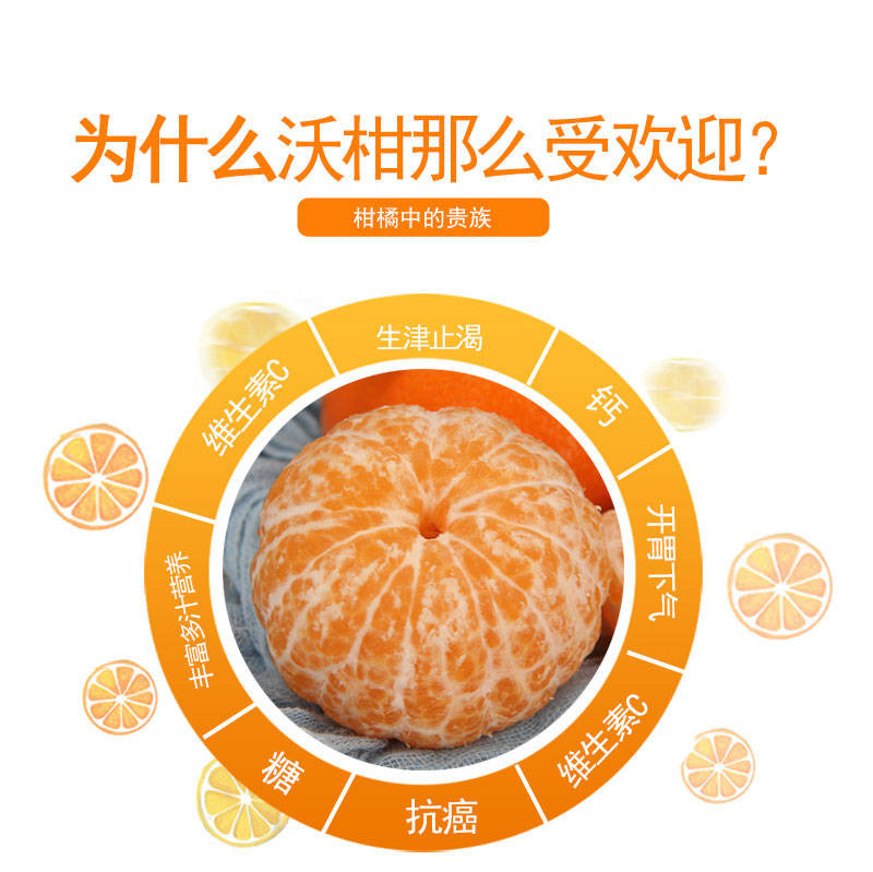 【坏果包赔】沃柑正宗贵妃柑新鲜水果橘子2斤/5斤/10斤