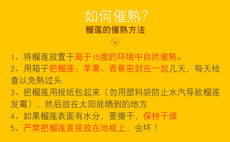 【特惠价99】泰国金枕头榴莲 新鲜带壳水果现摘多规格