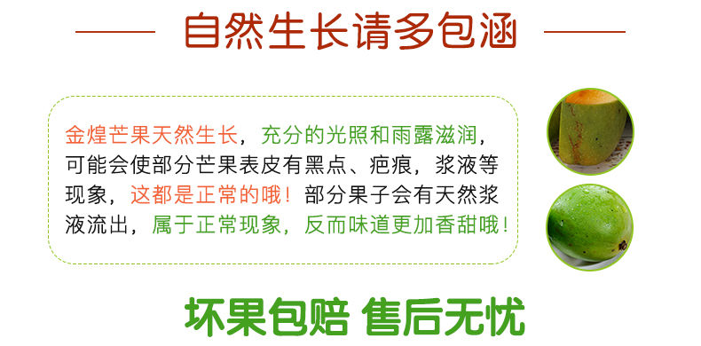 【精品现货】海南金煌芒果新鲜大青芒10斤装整箱批发包甜非小台农