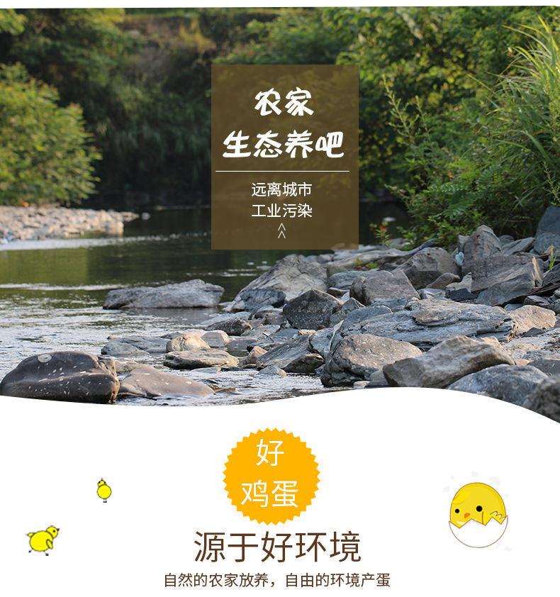 【20枚】40枚正宗散养土鸡蛋农村农家正宗笨鸡蛋20枚新鲜初生鸡蛋批发整箱