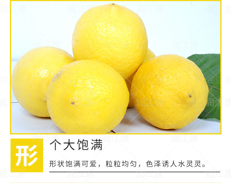 趣小馋 安岳黄柠檬新鲜水果柠檬果子生鲜水果柠檬新鲜批发多规格柠檬泡水