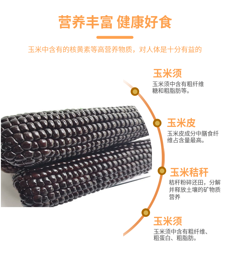 新鲜黑糯玉米黏糯甜粘玉米棒子粗粮早餐低脂精选山西特产真空包装