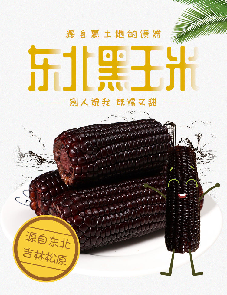 东北特产新鲜黑糯玉米棒玉米粒甜糯粘玉米水果玉米真空包装代餐