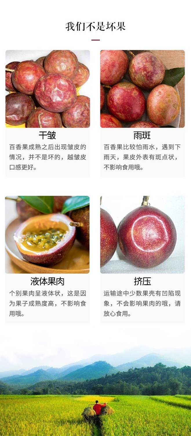 【坏果包赔】广西百香果水果新鲜整箱批发酸甜可口