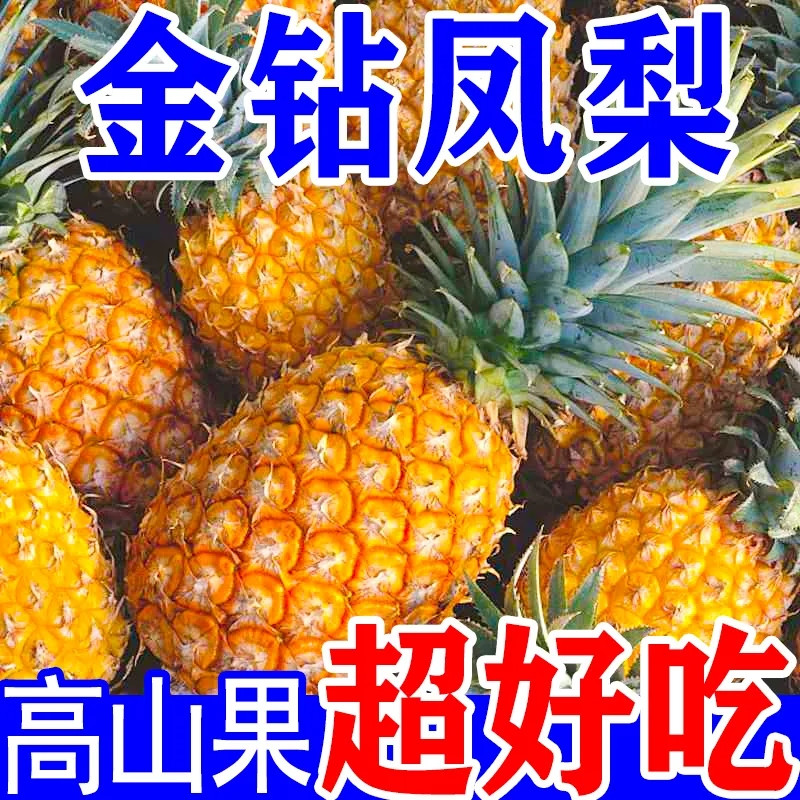 【超甜】正宗金钻凤梨新鲜水果手撕无眼菠萝树上熟一整箱批发菠萝