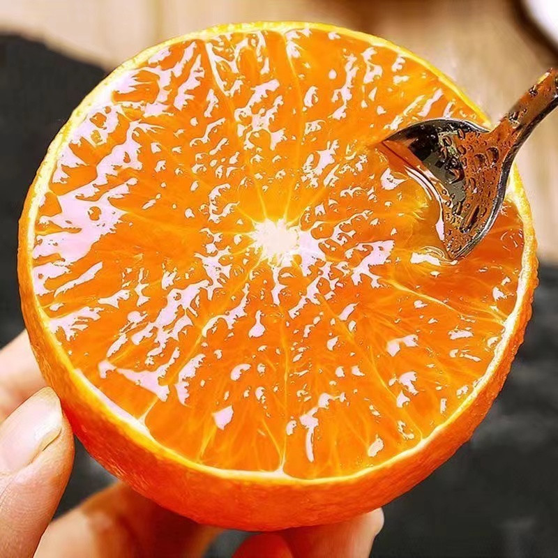 妙采园 夏橙 当季新鲜橙子水果5斤夏橙