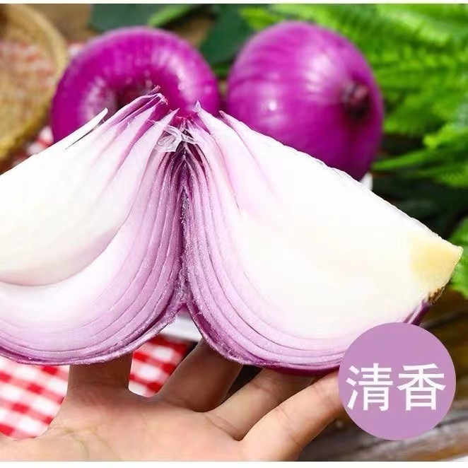 妙采园 【新鲜现挖】鲜紫皮洋葱农家自种圆葱新鲜蔬菜5斤包邮