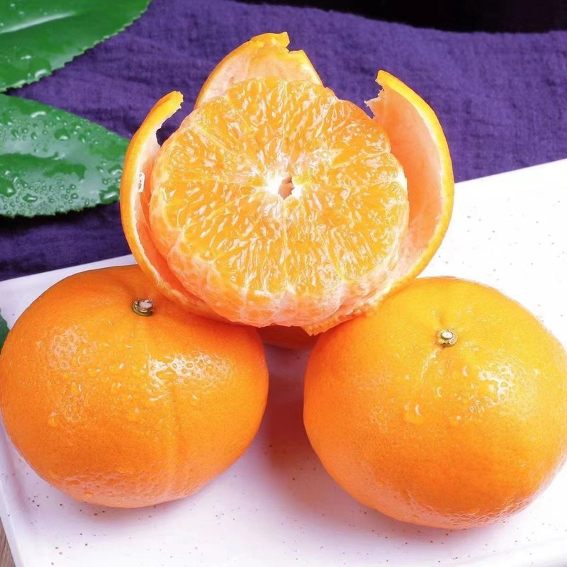 妙采园 沃柑新鲜沃柑武鸣沃柑新鲜水果橘子孕妇水果沃柑桔子多规格