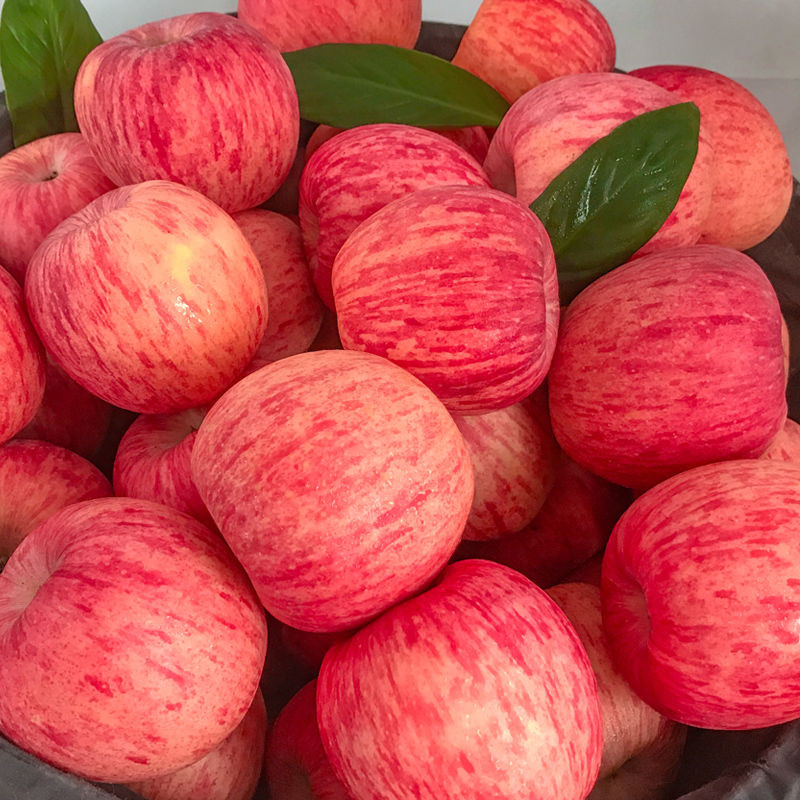 新鲜现摘红富士苹果正宗水果脆甜冰糖心丑苹果5/10斤整箱批发