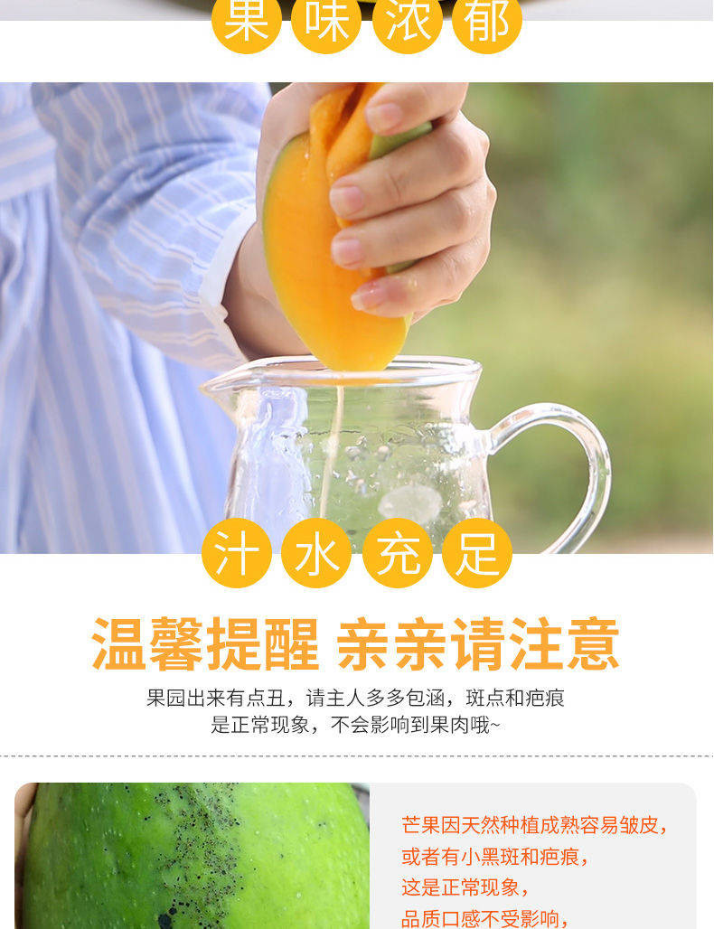 越南进口大芒果3斤装(单果200-800g)新鲜水果玉芒青芒果批发