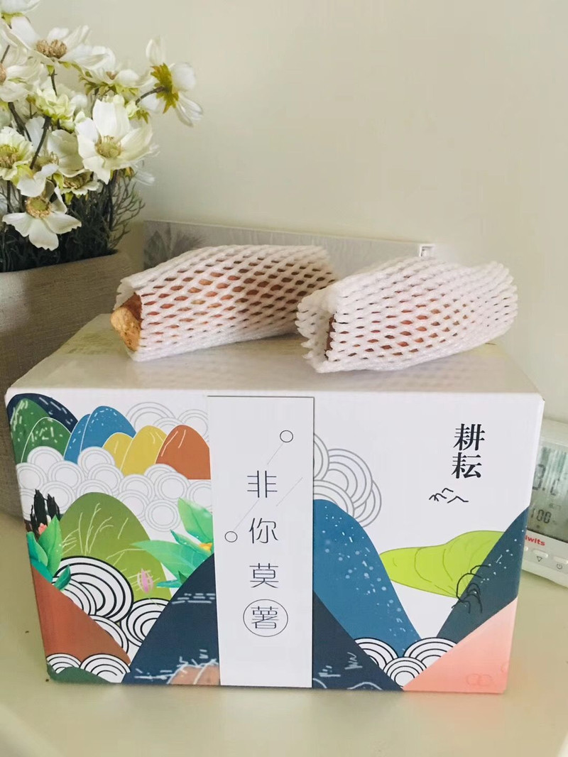 【特惠精品】红薯新鲜烟薯25板栗蜜薯糖心烤富硒沙地地瓜农家番薯种