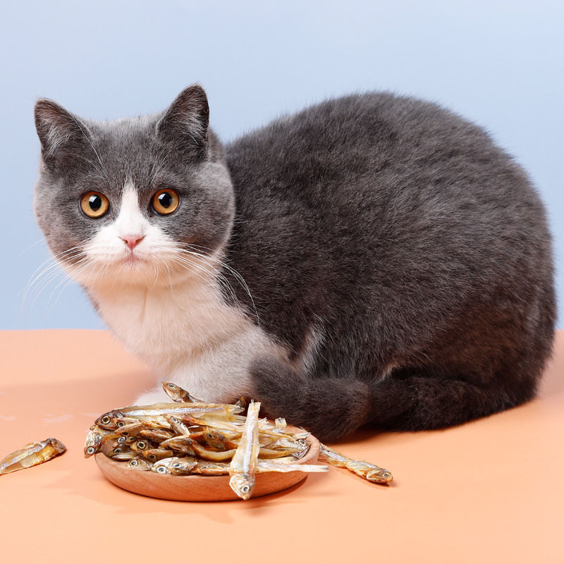 猫咪小鱼干零食营养增肥发腮成幼宠物零食无盐小鱼猫零食淡小鱼干