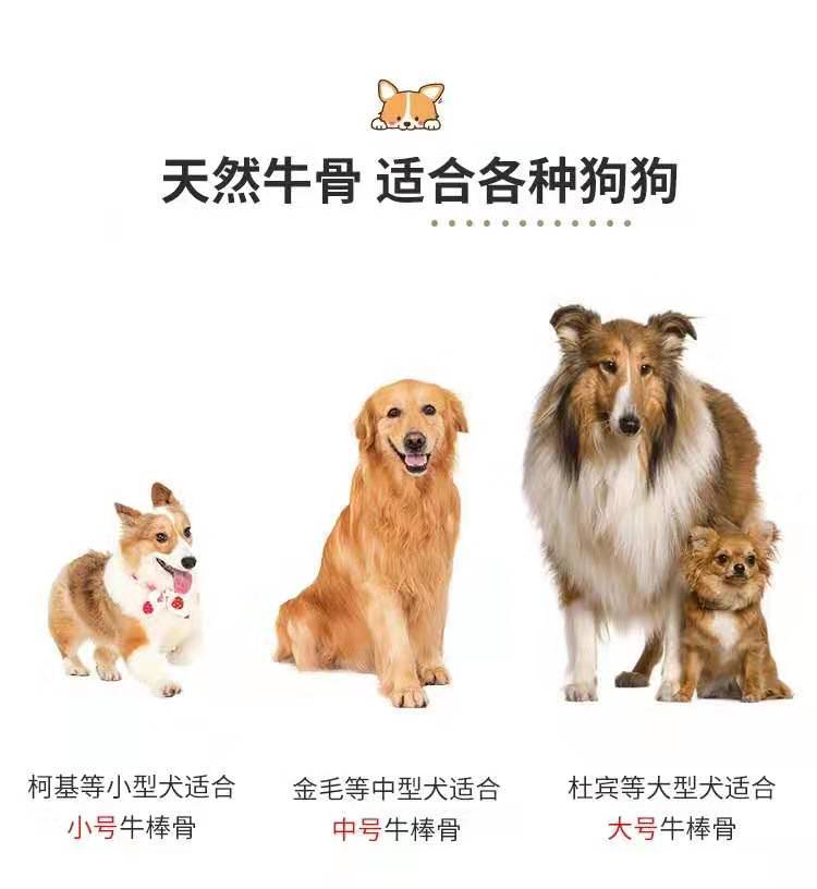 自制牛棒骨磨牙棒狗幼犬泰迪金毛骨头狗狗零食大型犬补钙咬胶耐咬