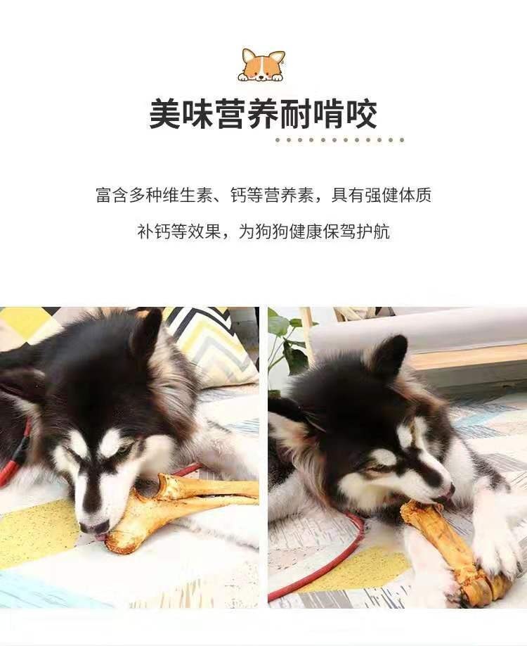 自制牛棒骨磨牙棒狗幼犬泰迪金毛骨头狗狗零食大型犬补钙咬胶耐咬