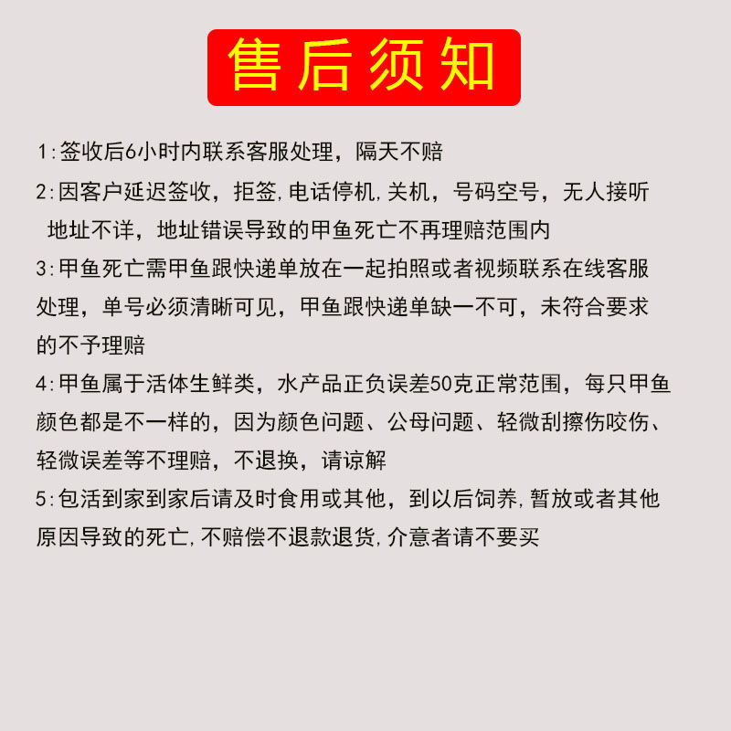 滋补甲鱼活体水鱼团鱼生鲜水产龟散养中华鳖苗批发包邮海鲜