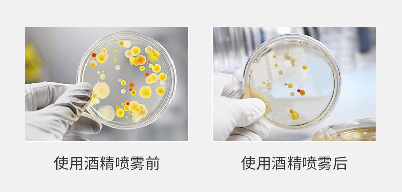 【48小时发货领券立减5元】芊茗草 75度酒精家用乙醇消毒水喷雾免洗手速干室内杀菌抑菌便携装