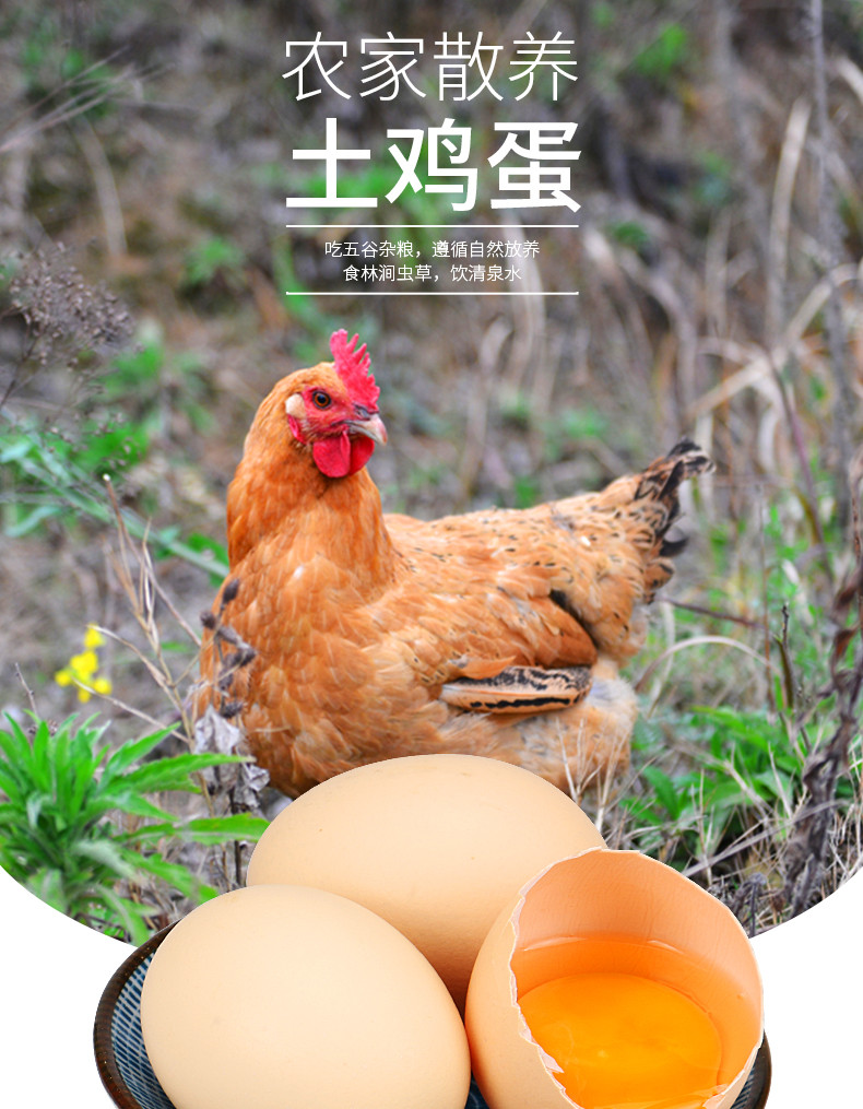 灵仙 农家散养土鸡蛋10枚装单果40g-50g