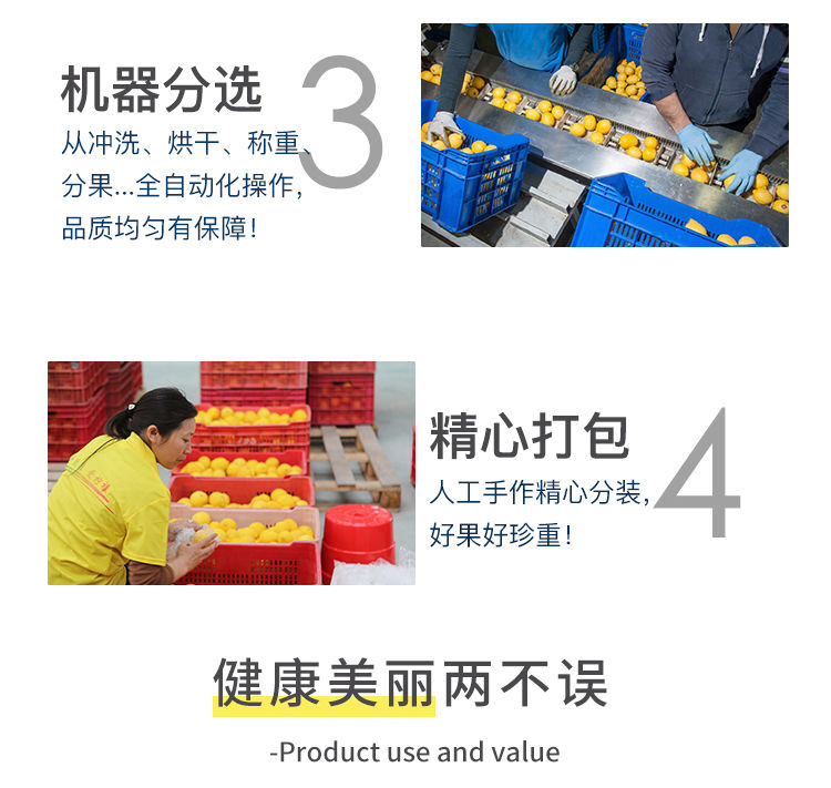 【每日精选】安岳黄柠檬新鲜水果5斤装柠檬果子生鲜水果柠檬新鲜柠檬泡水