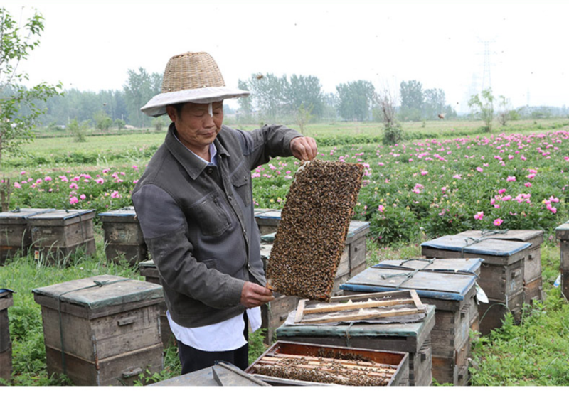 蜂蜜天然正品纯野生深山百花蜜农家自销自然成熟封盖土蜂蜜