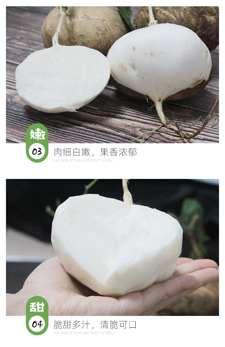 新鲜白凉薯地瓜农家番薯白土瓜蔬菜水果芋头非紫薯红薯2/3/5/10斤