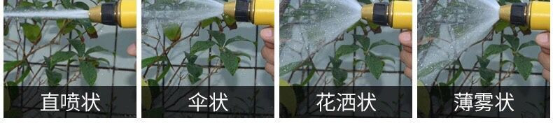 YN跃能 高压家用洗车水枪 浇花水管10米套装 防冻防爆软水管喷枪头 汽车用品