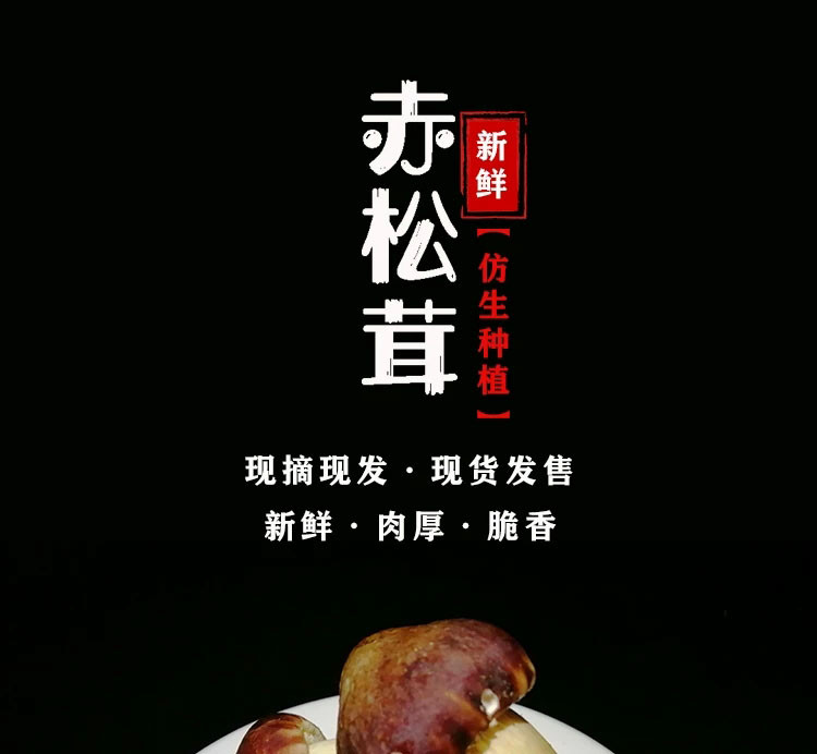 庆元新鲜赤松茸 2斤装