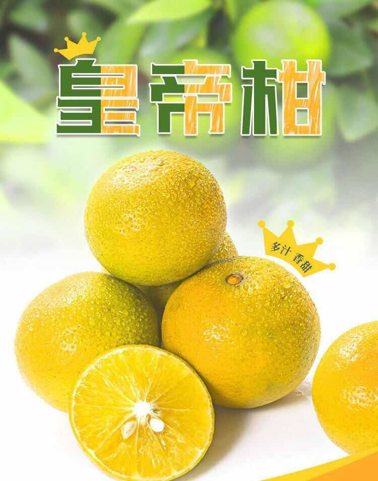 广西皇帝柑新鲜橘子贡柑蜜桔子柑橘现摘薄皮3/5/9斤净重带箱10斤