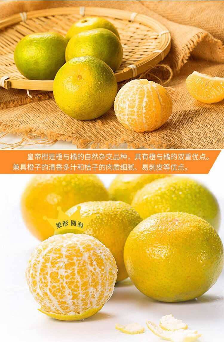 广西皇帝柑新鲜橘子贡柑蜜桔子柑橘现摘薄皮3/5/9斤净重带箱10斤