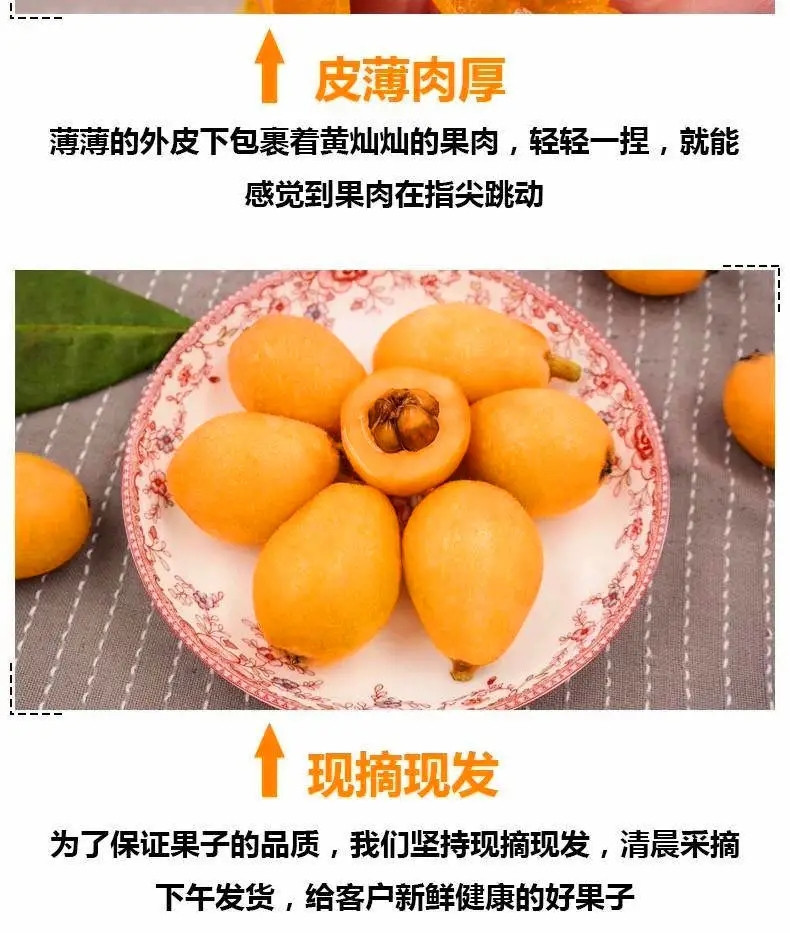 云南蒙自枇杷果新鲜水果大五星琵琶批把水果新鲜整箱应季孕妇水果