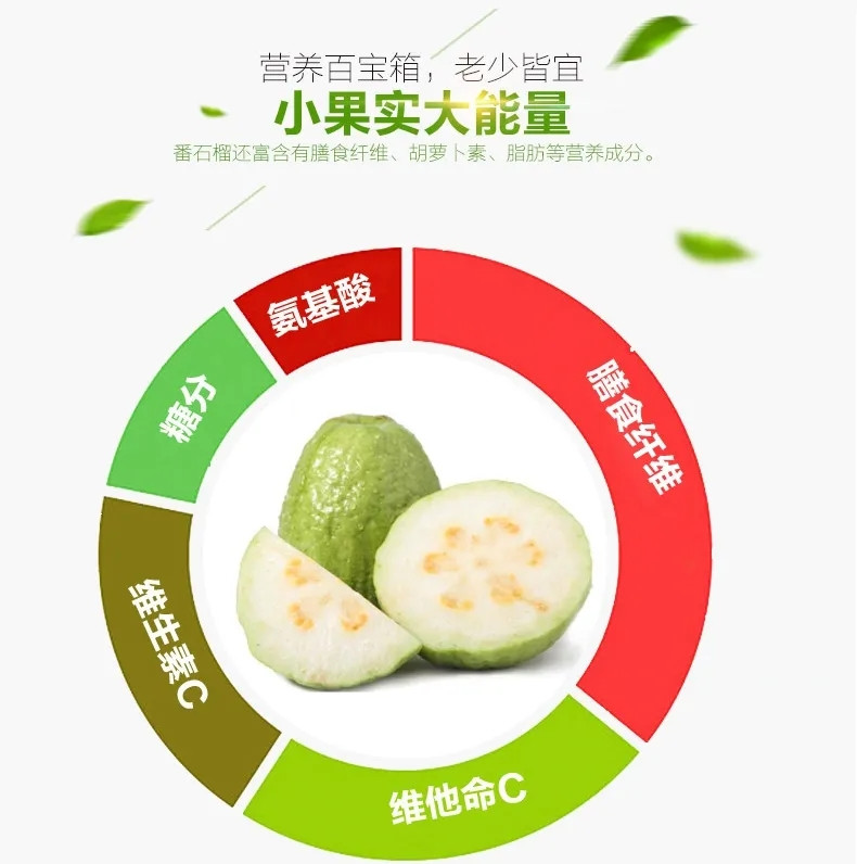 广东番石榴红心白心芭乐果当季新鲜水果批发现摘