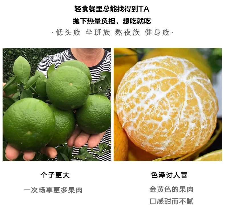 广西正宗皇帝柑新鲜应季水果薄皮甜蜜橘现摘贡柑当季桔子10斤包邮