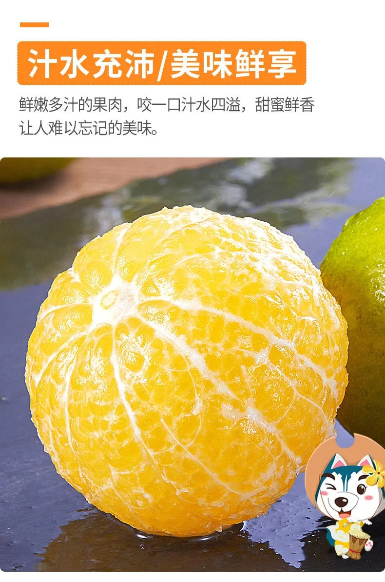 广西正宗皇帝柑新鲜应季水果薄皮甜蜜橘现摘贡柑当季桔子10斤包邮