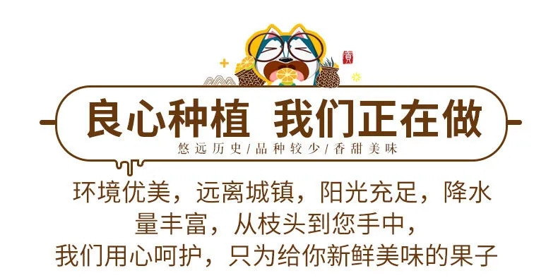 广西正宗皇帝柑新鲜应季水果薄皮甜蜜橘现摘贡柑当季桔子10斤包邮