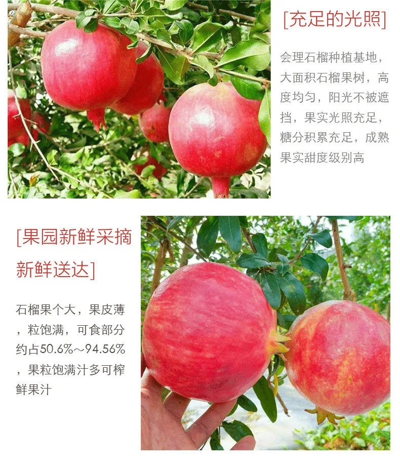 突尼斯软籽甜红心石榴应季水果新鲜孕妇当季2/3/5斤9斤批发一整箱