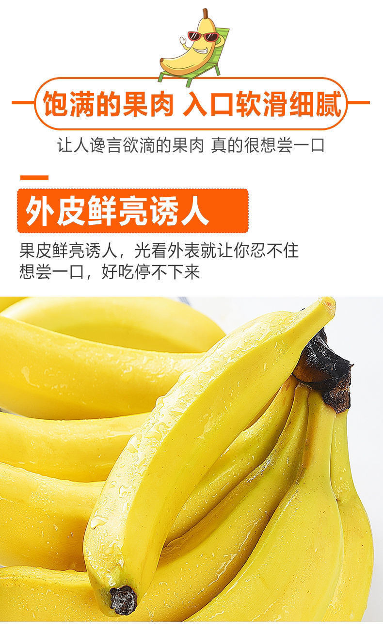 【云南高山甜香蕉】新鲜带箱10斤超值水果包邮当季整箱自然熟5斤