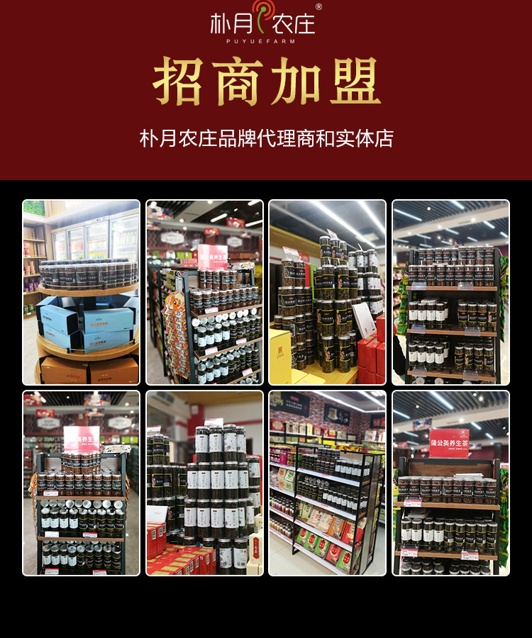 【东营馆】高品质朴月农庄 蒲公英荞菊茶（买二赠手提袋）