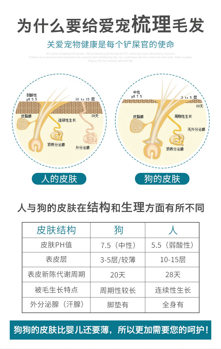 狗毛梳子猫咪毛刷宠物刷子泰迪金毛大型犬专用梳毛器神器狗狗用品