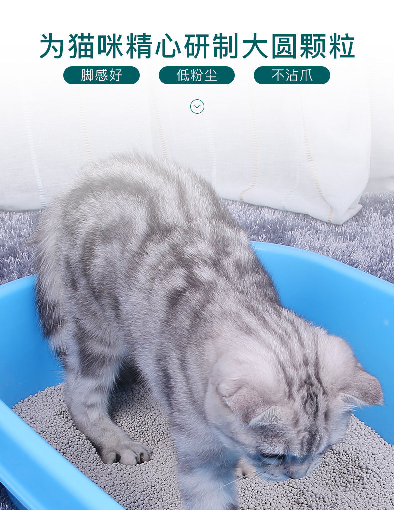 泰洁猫砂20斤猫砂膨润土团结除臭柠檬香10公斤5公斤猫咪用品