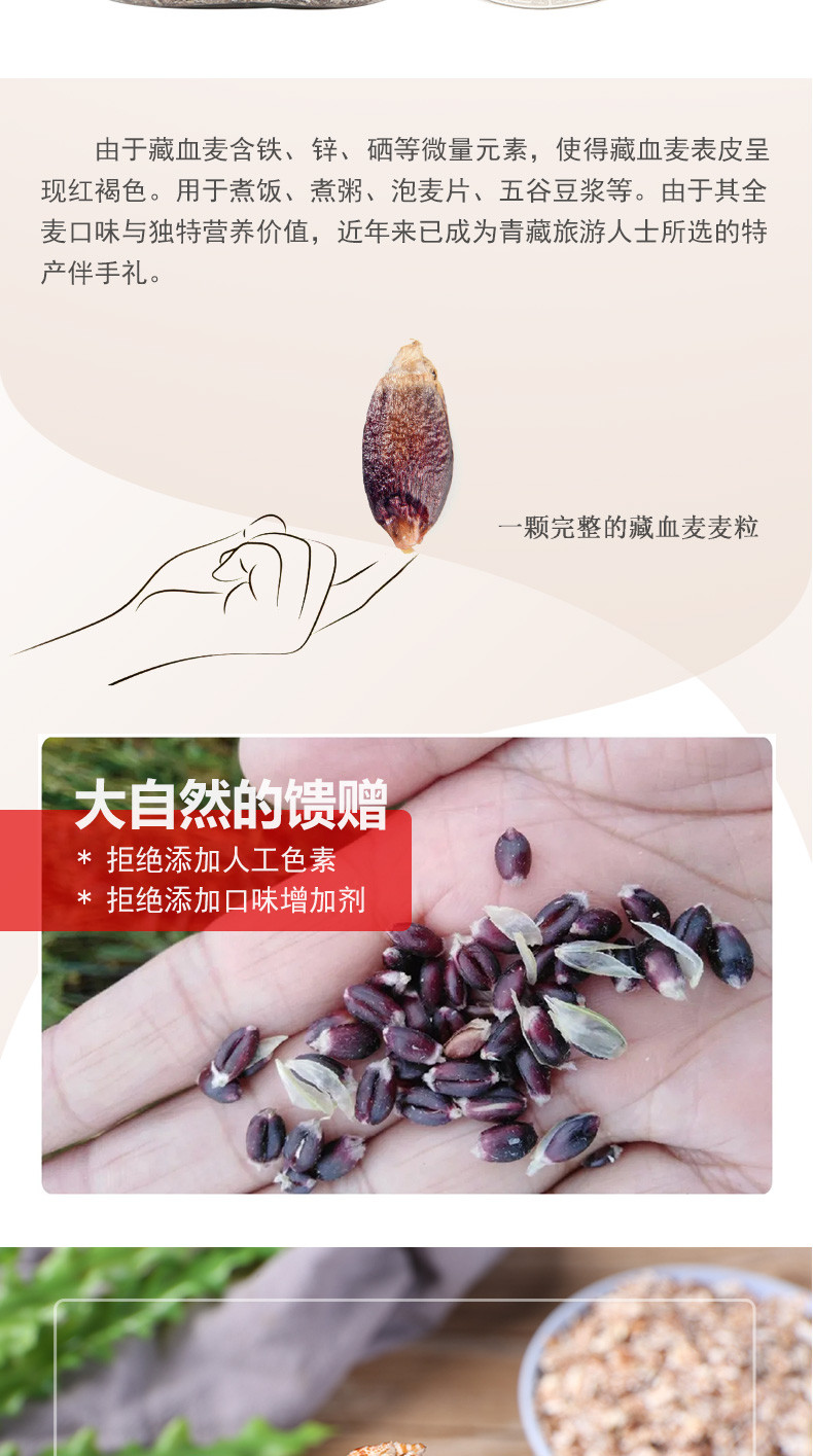 金谷力 139高硒型藏血麦片550g 青藏特产燕麦营养早餐