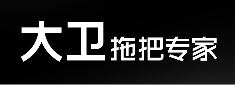 【大卫拖把 终身免费领拖布】D9拖把桶旋转拖把平板拖把胶棉拖把杆通用自动免手洗家用懒人拖把布拖布桶拓