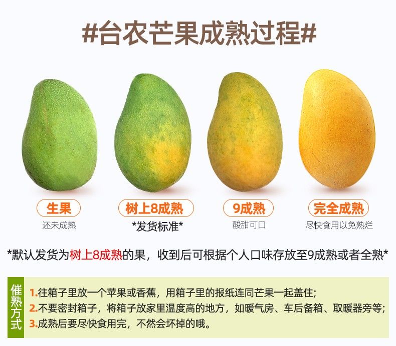 10斤新鲜小台农芒果装整箱应季热带芒果水果果园现摘批发【量稻美食】