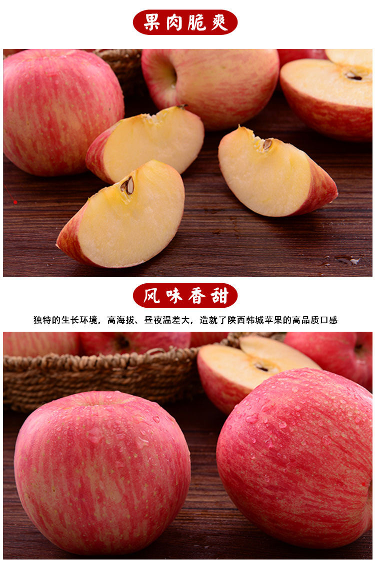 【48小时发货】陕西红富士苹果水果5/10斤装（单个80#以上）天然丑苹果汁多味美膜袋苹果包邮
