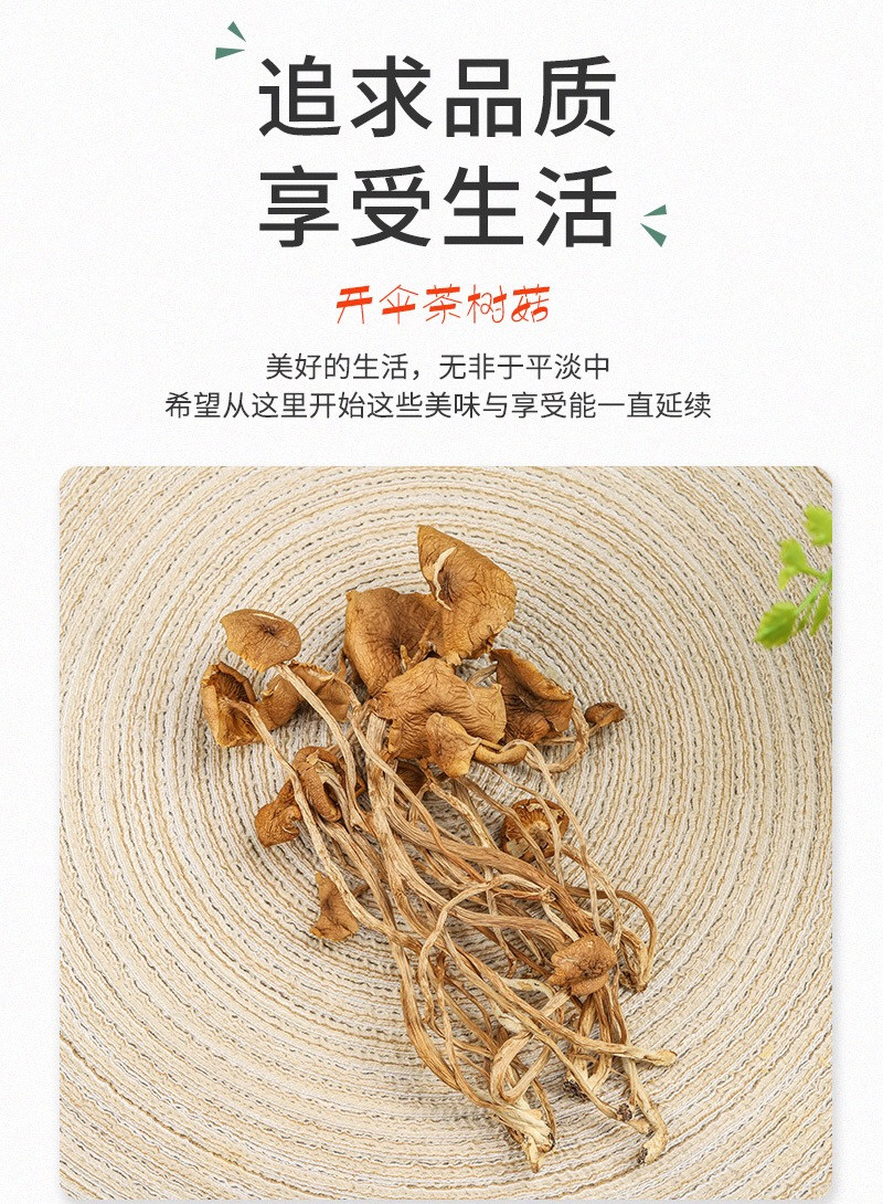 茶树菇干货农家自产新货冰菇不开伞500g福建特产散装茶薪菇批发